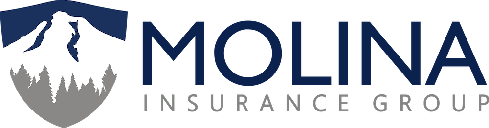 Molina Insurance – Bingen – Insurance for Auto, Homeowners, Business, Life & More!